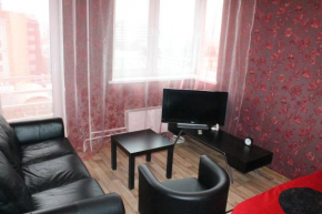 Apartment Nizhnaya Krasnoselskaya